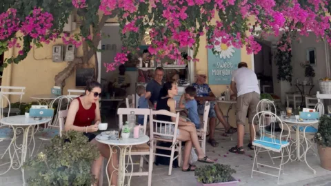 Koffie onder een boom met bloemen