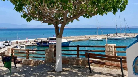 Boom met uitzicht op zee Agistri